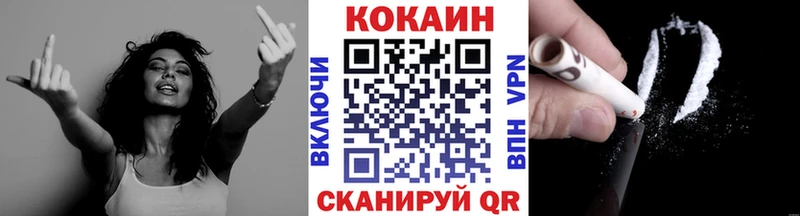 COCAIN FishScale  продажа наркотиков  Пестово 