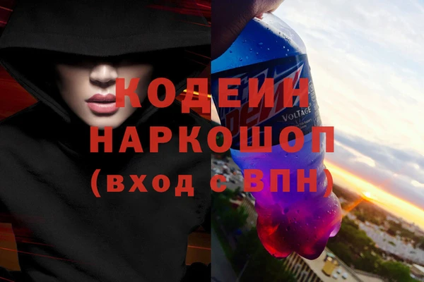 СК Апатиты