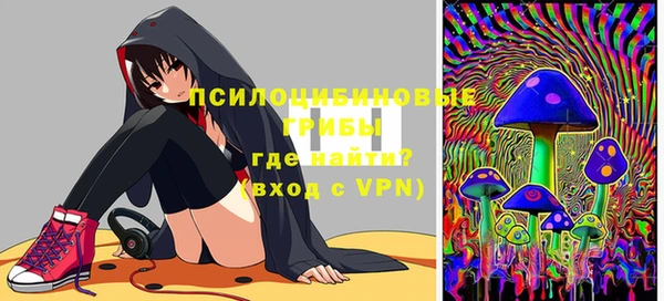 спайс Новозыбков